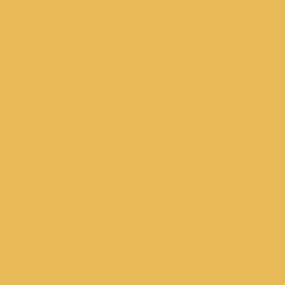Curl Wool Blend Swivel Lounge Chair in Yellow