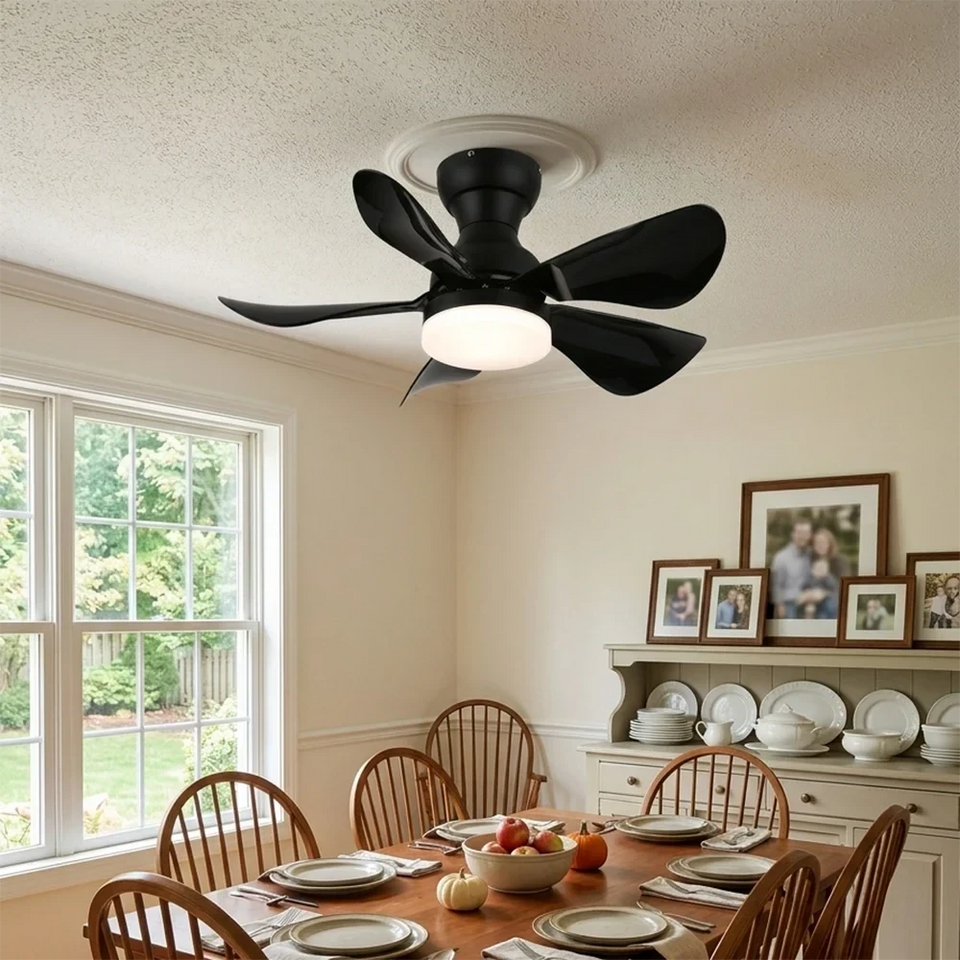Arilia Small Blade Ceiling Fan Light