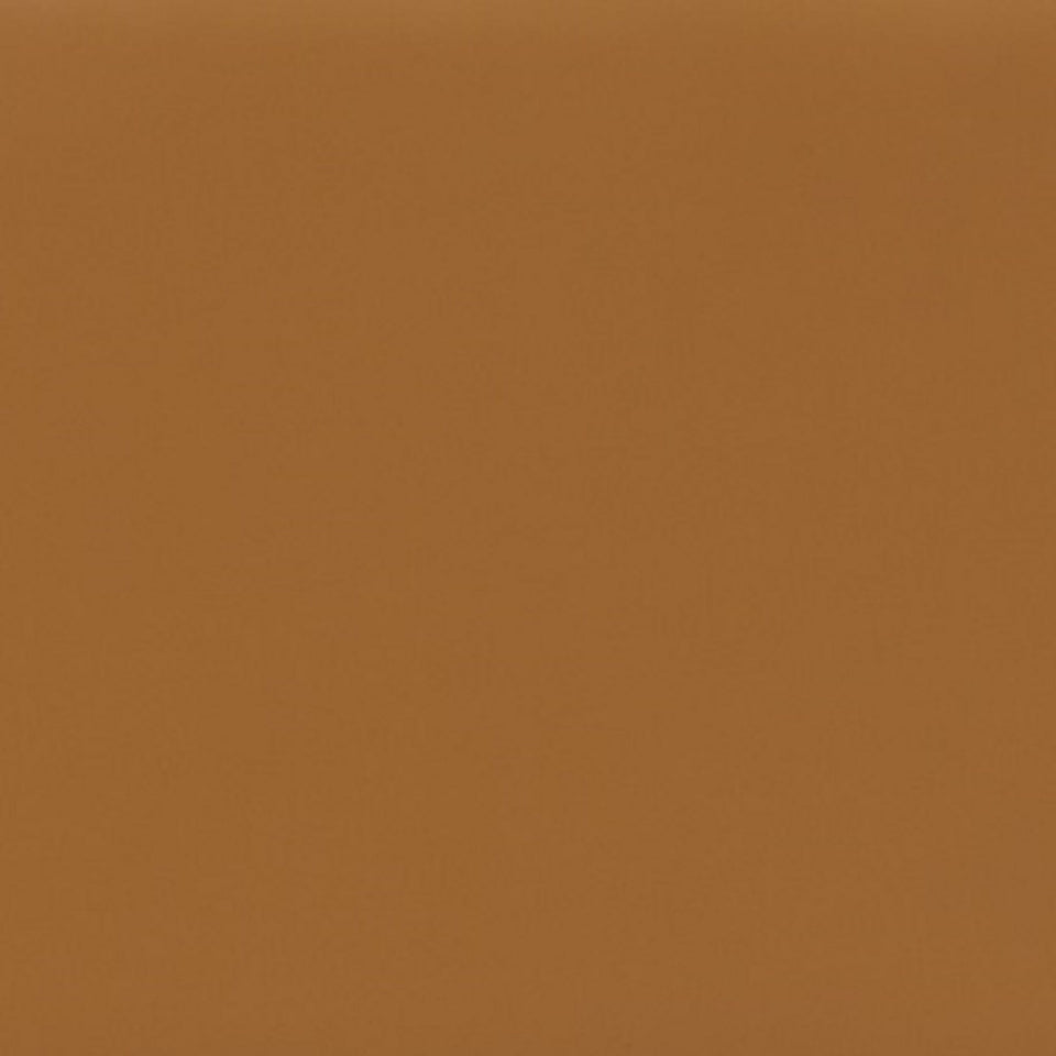 Kingsley in Camel