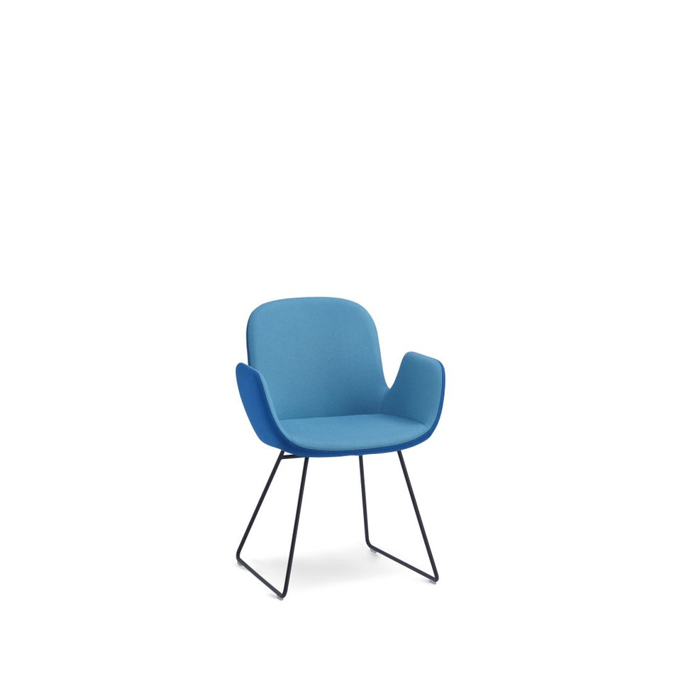 Daisy Chair Sled