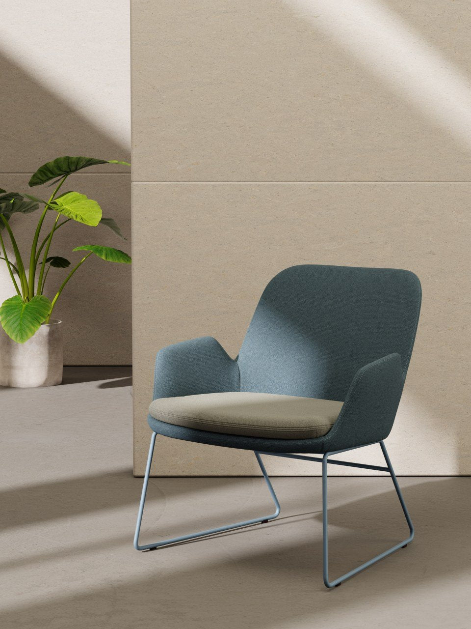 Daisy Lounge Chair Sled