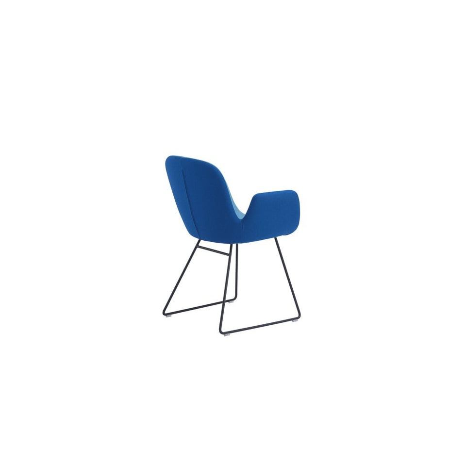 Daisy Chair Sled