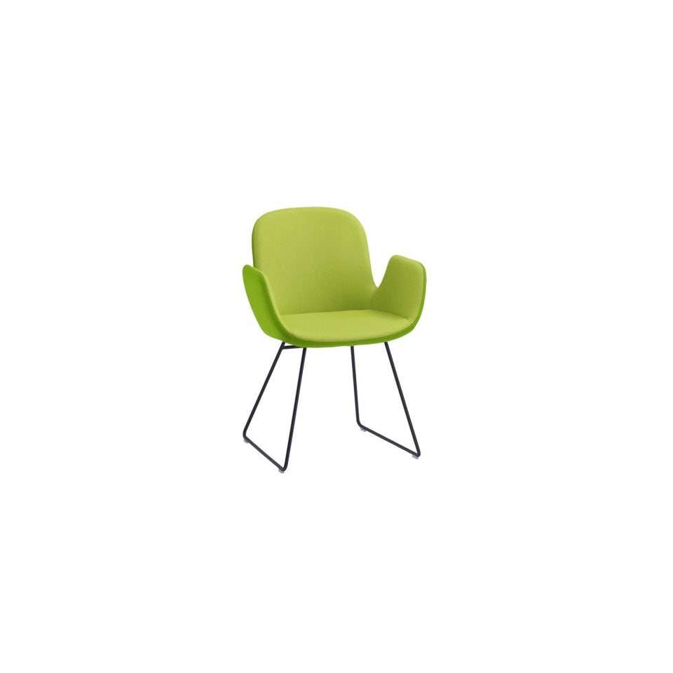 Daisy Chair Sled
