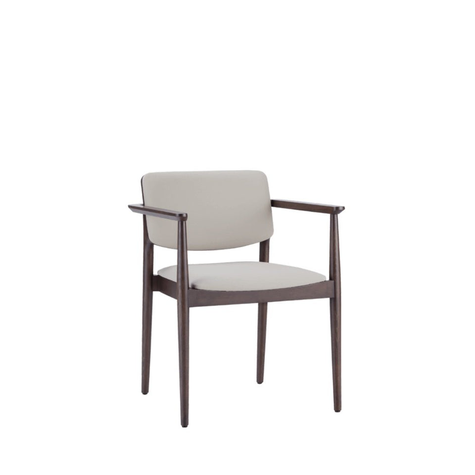 Dion Armchair
