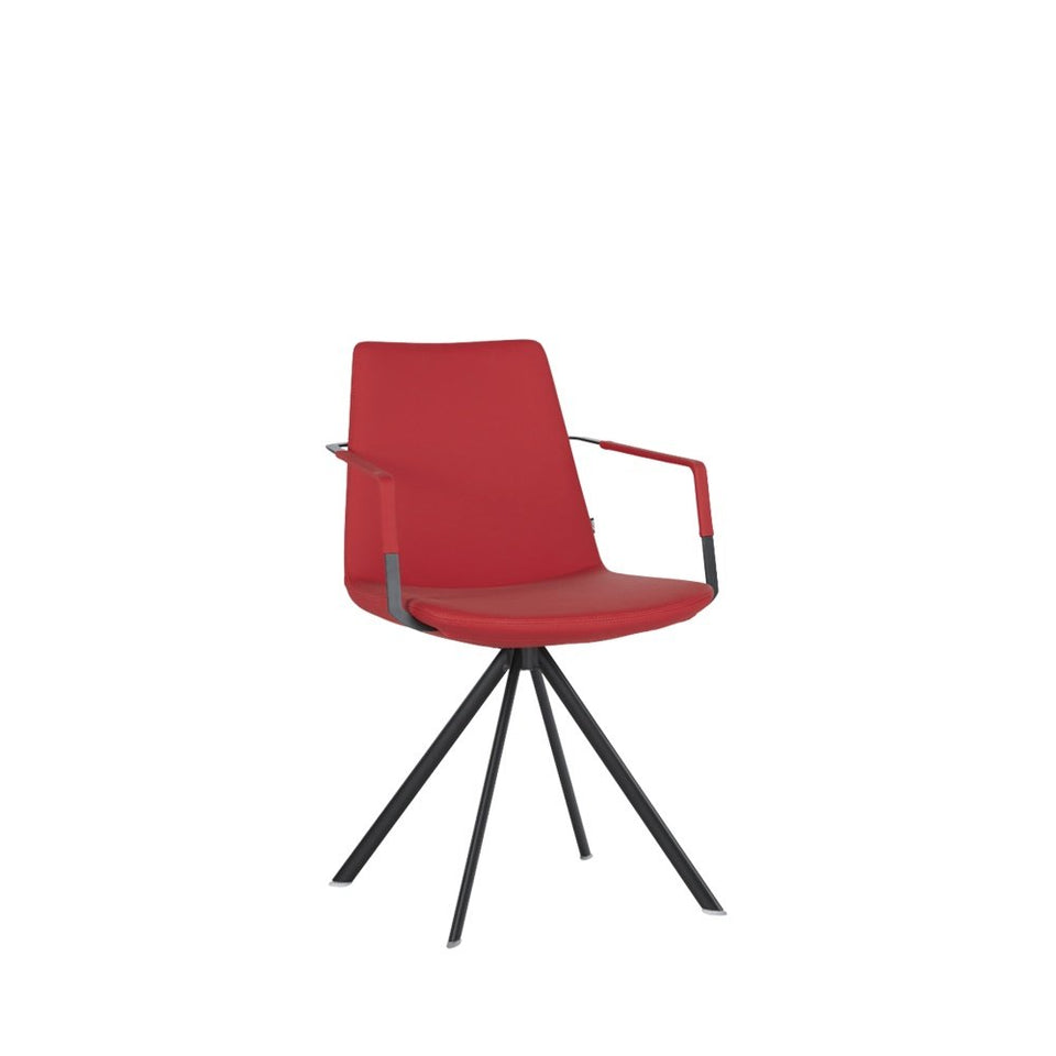 Pera Ellipse Armchair