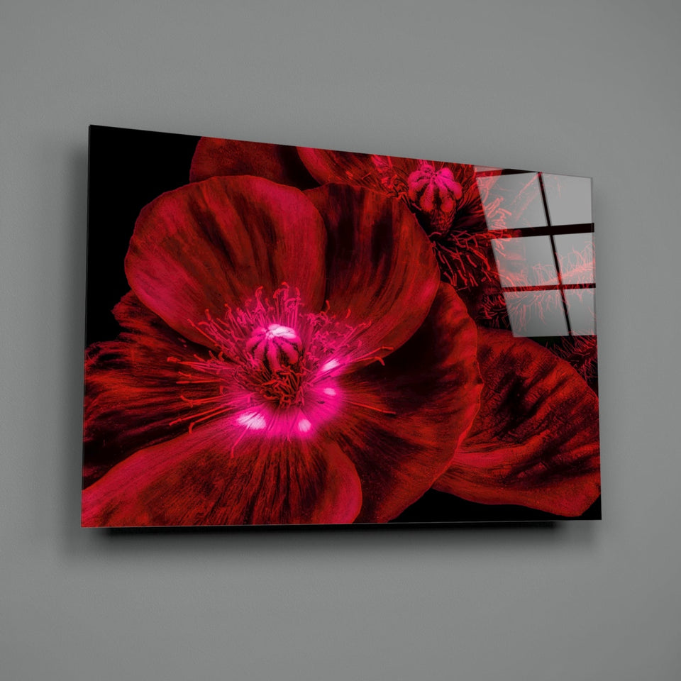 Crimson Poppy With Magenta Center Glass Wall Art