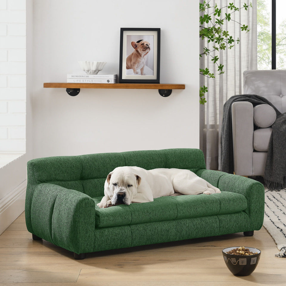 Modern Pet Sofa With Backrest And Armrests
