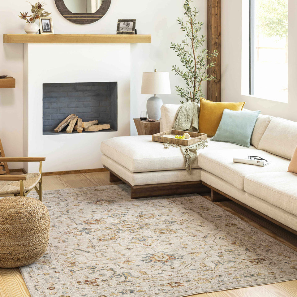 Coromandel Oushak Area Rug