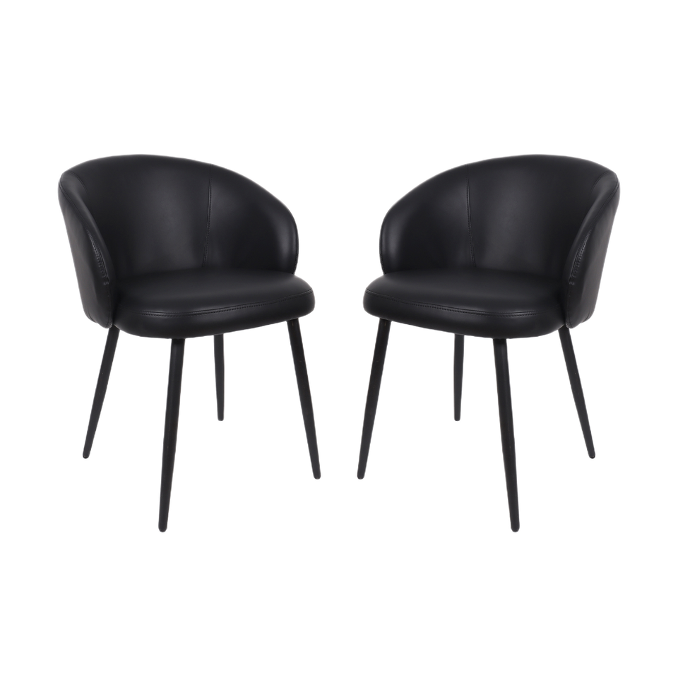Looma Metal Vegan Leather Side Chair (Set of 2)