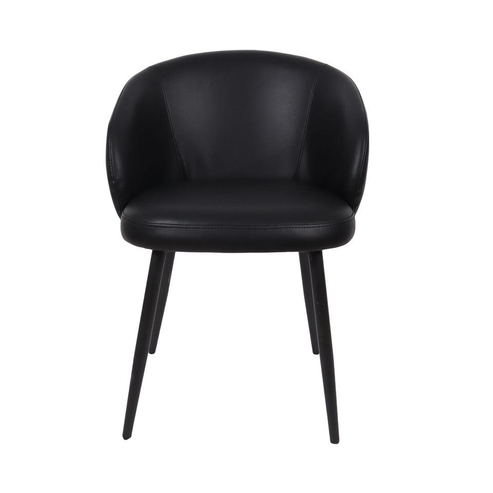 Looma Metal Vegan Leather Side Chair (Set of 2)