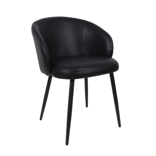 Looma Metal Vegan Leather Side Chair (Set of 2)