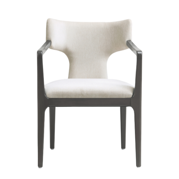 Eloria Wood Chenille Armchair