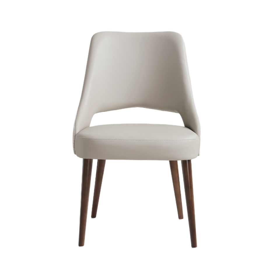 Liora Wood Upholstered Dining Side Chair Set Of 2 (DC1725)