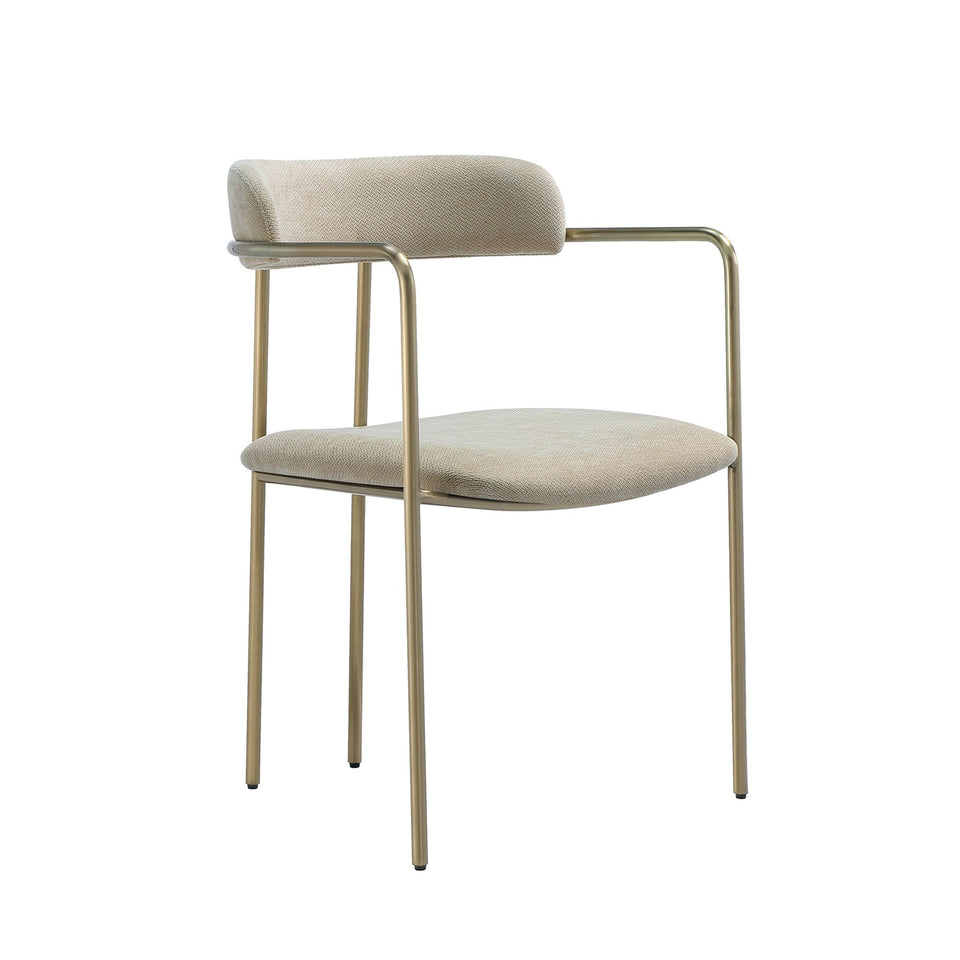 Serene Metal Upholstered Dining Chair (DC1882)