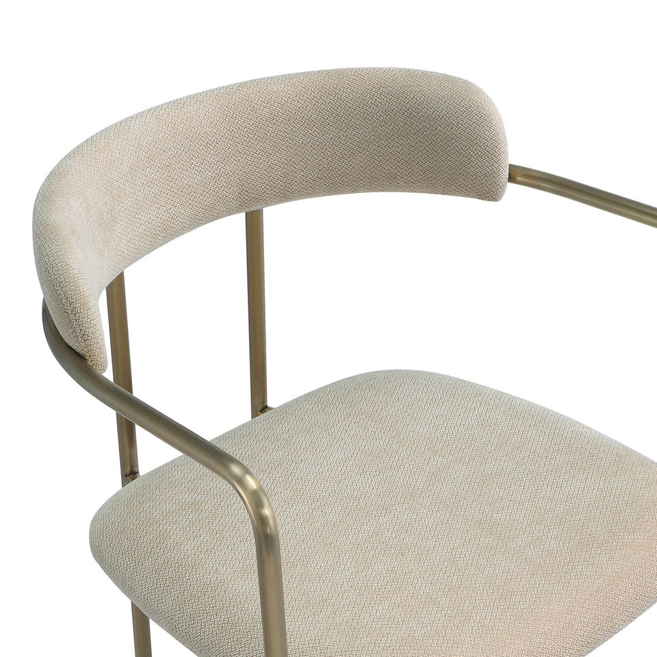 Serene Metal Upholstered Dining Chair (DC1882)