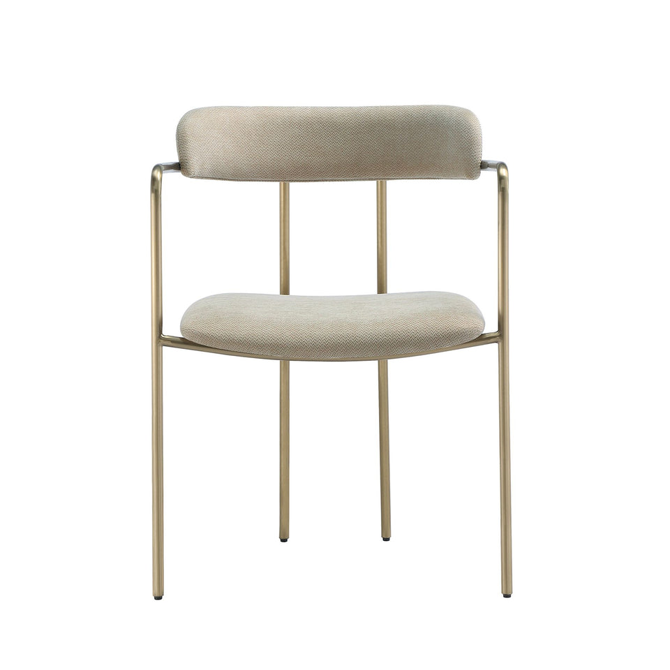 Serene Metal Upholstered Dining Chair (DC1882)