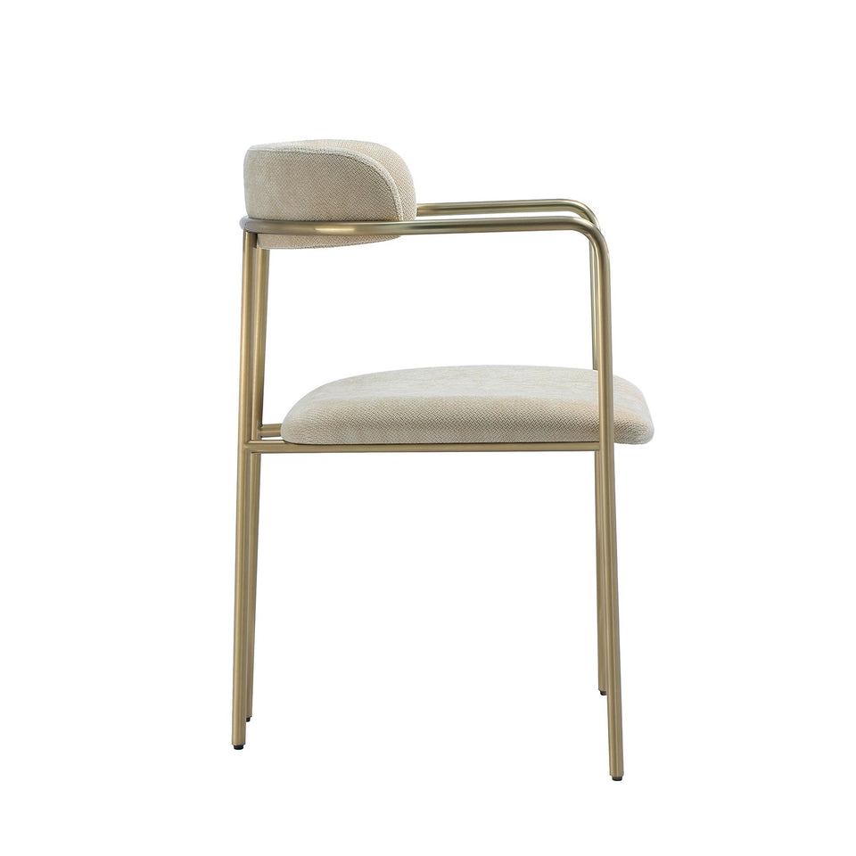 Serene Metal Upholstered Dining Chair (DC1882)