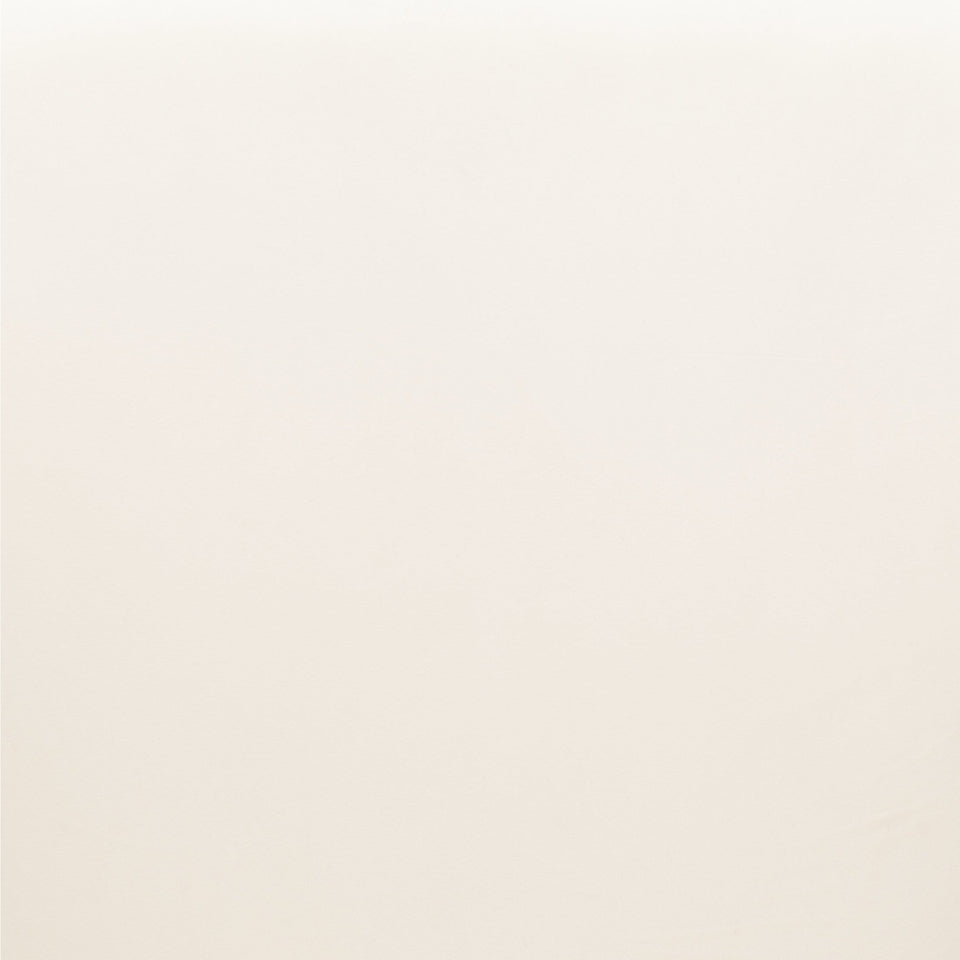 Jolie Dining Chair (Set of 2) Ivory