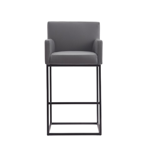 Ambassador