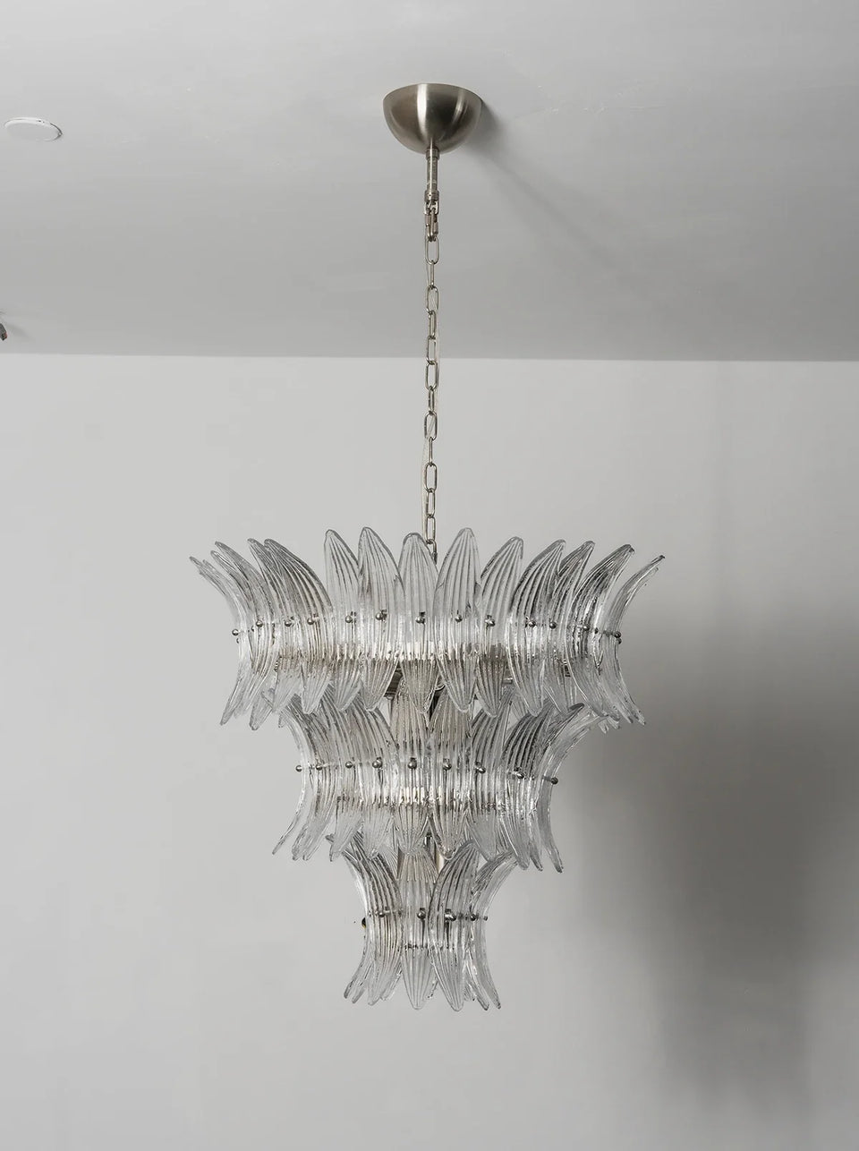 Palm Leaves Transparent Glass Chandelier