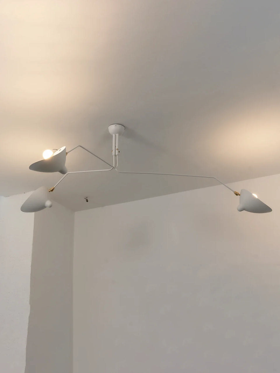 ceiling light - additional view 22