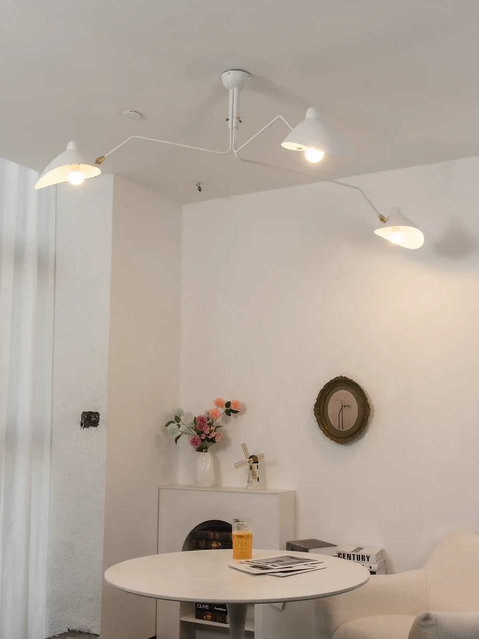 ceiling light - additional view 13