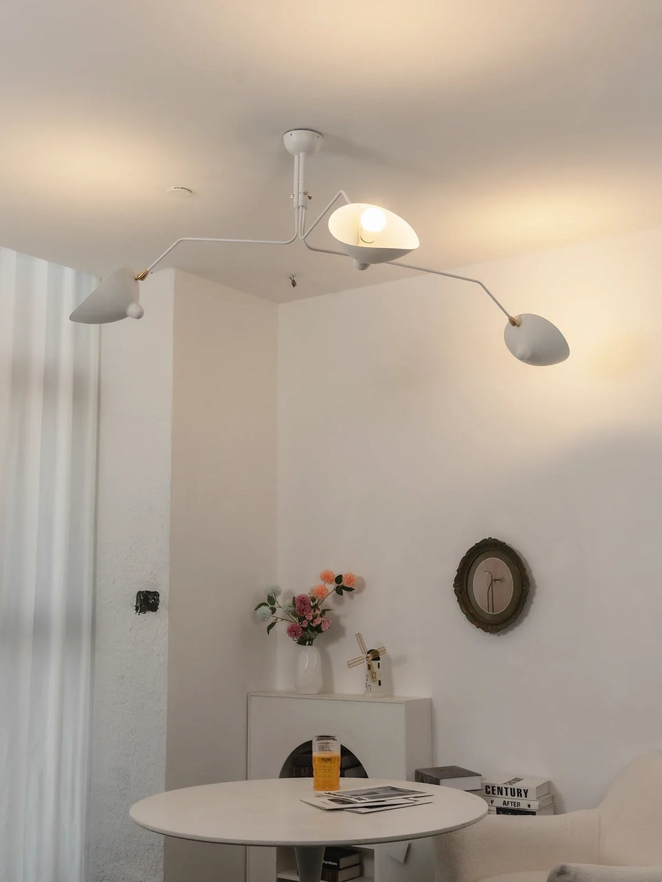 ceiling light - additional view 14