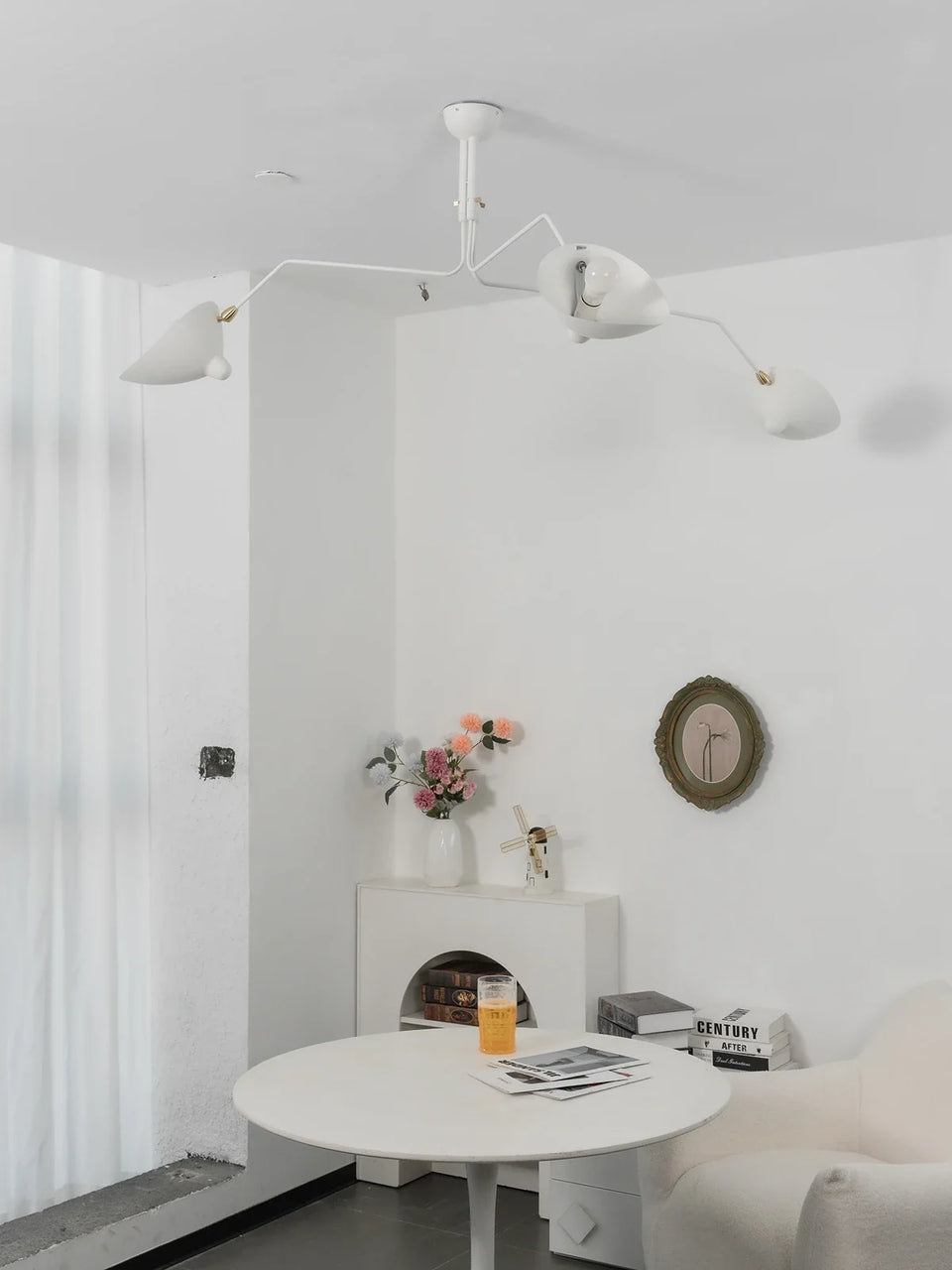 ceiling light - additional view 16