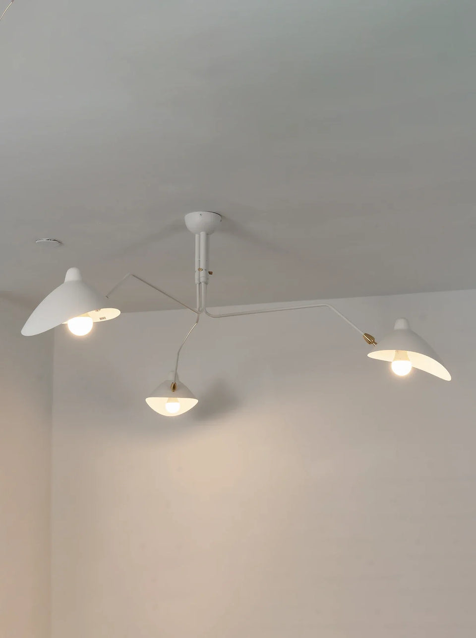 ceiling light - additional view 21