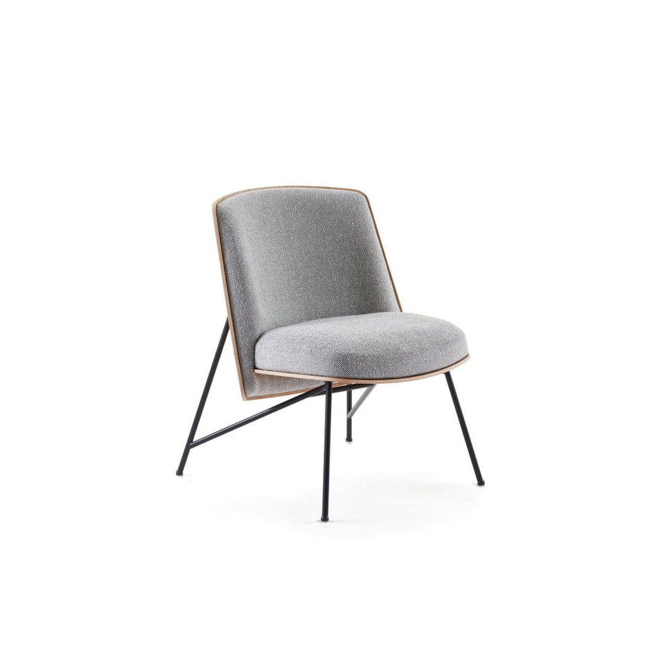 Tinker Lounge Chair