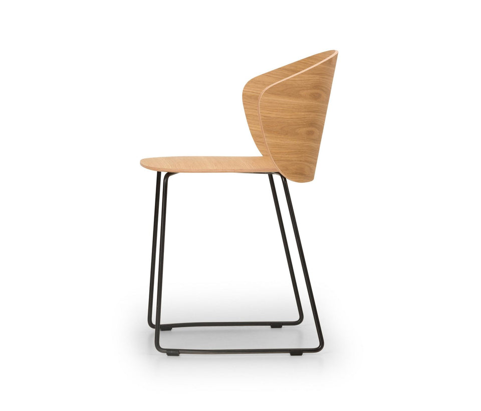 Not Wood Chair – Sled Base