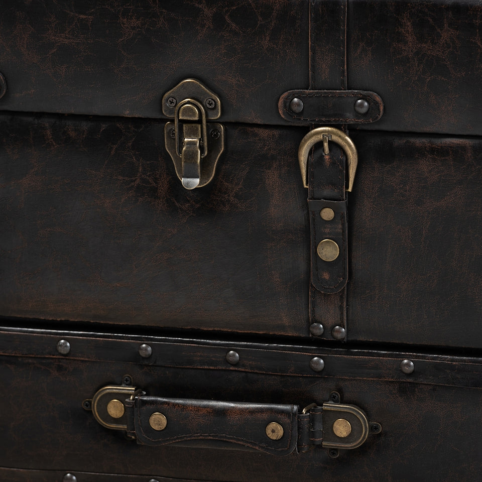 Callum 2-drawer storage trunk ottoman.