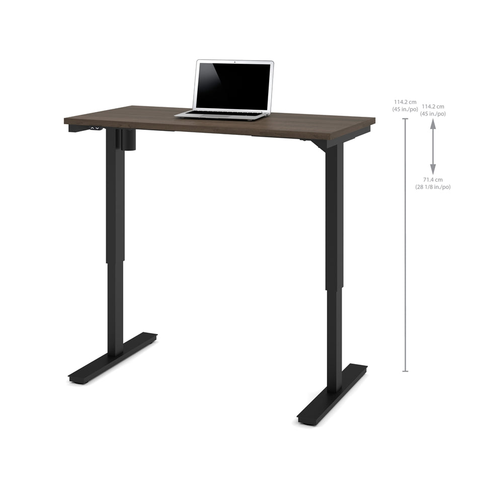 24" x 48" Electric Height adjustable table in Antigua
