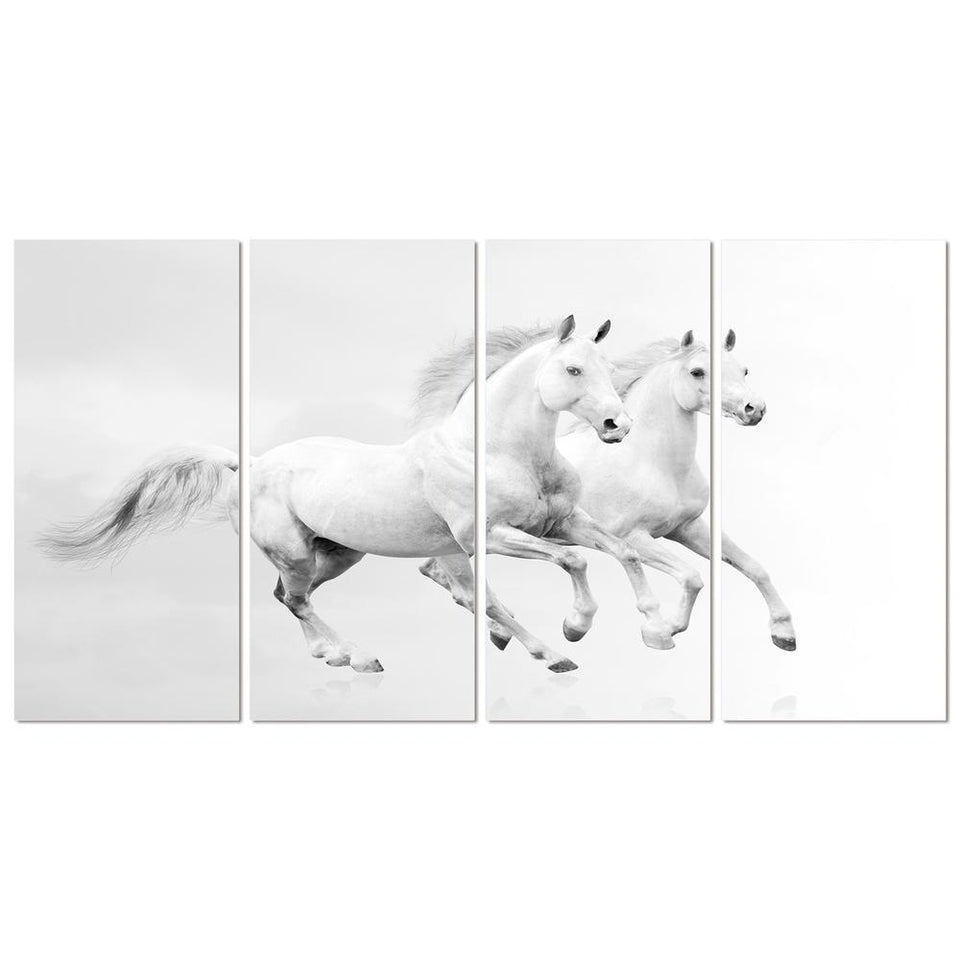 4 Piece acrylic picture of 2 White horses running 60 x 112
