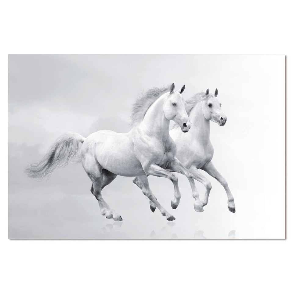 Acrylic picture of 2 White horses running 60 x 40