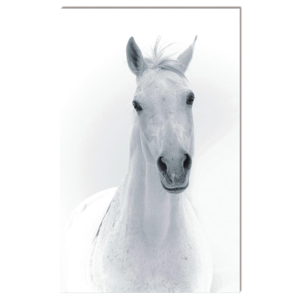 Acrylic portrait of a white horse 48 x 30