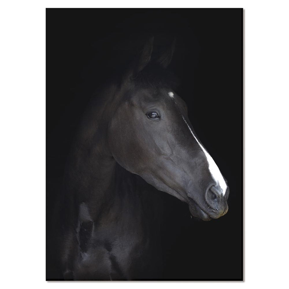 Acrylic headshot portrait of a black horse 48 x 30