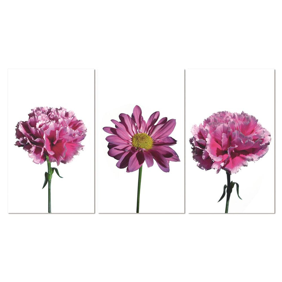 3 Piece acrylic picture of  pink flowers consisting of 2 carnations and 1 daisy with stems 40 x 72