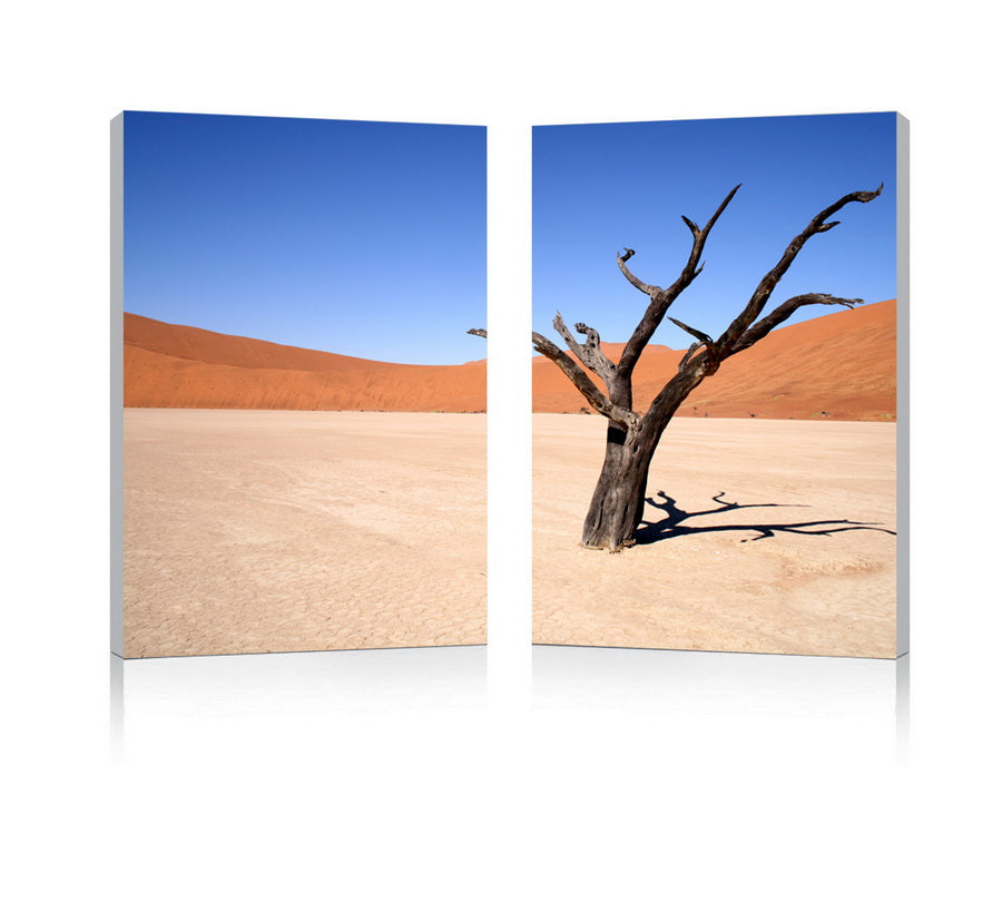 Desert solitude mounted photography print diptych
