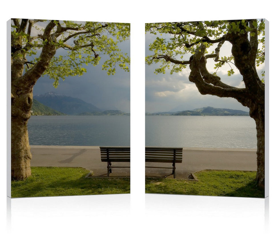 Pristine view mounted photography print diptych