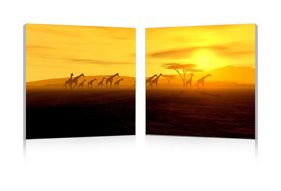 Glorious giraffes mounted photography print diptych