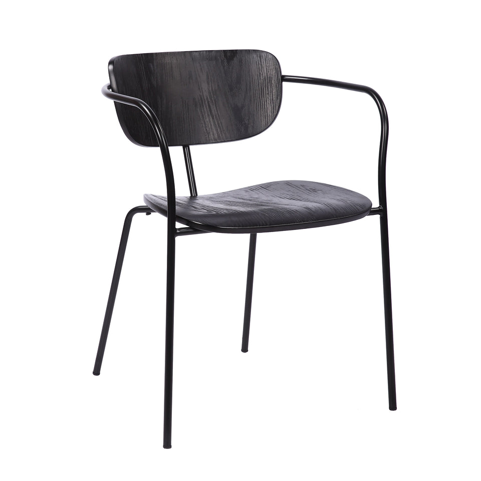 Gavin Steel Side Chair in Black Powder Coating Finish and Black Brushed Wood-Set of 2