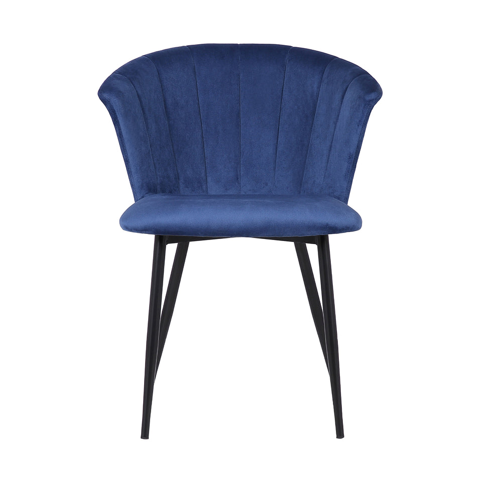 Lulu Contemporary Dining Chair in Black Powder Coated Finish and Blue Velvet