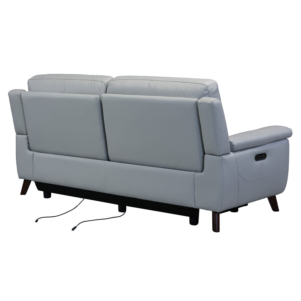 Lizette Contemporary Sofa in Dark Brown Wood Finish and Dove Gray Genuine Leather