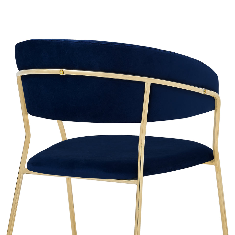 Nara Modern Blue Velvet and Gold Metal Leg Dining Room Chairs - Set of 2