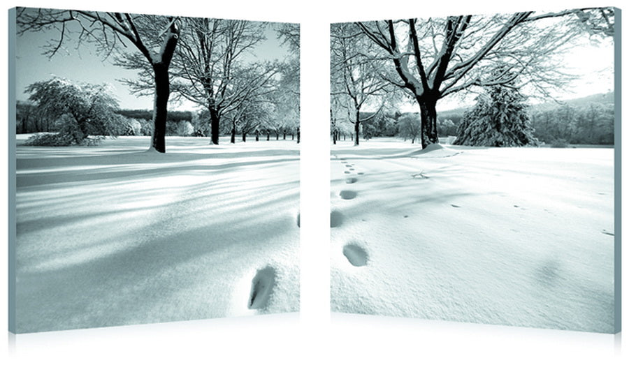 Telltale trail mounted photography print diptych